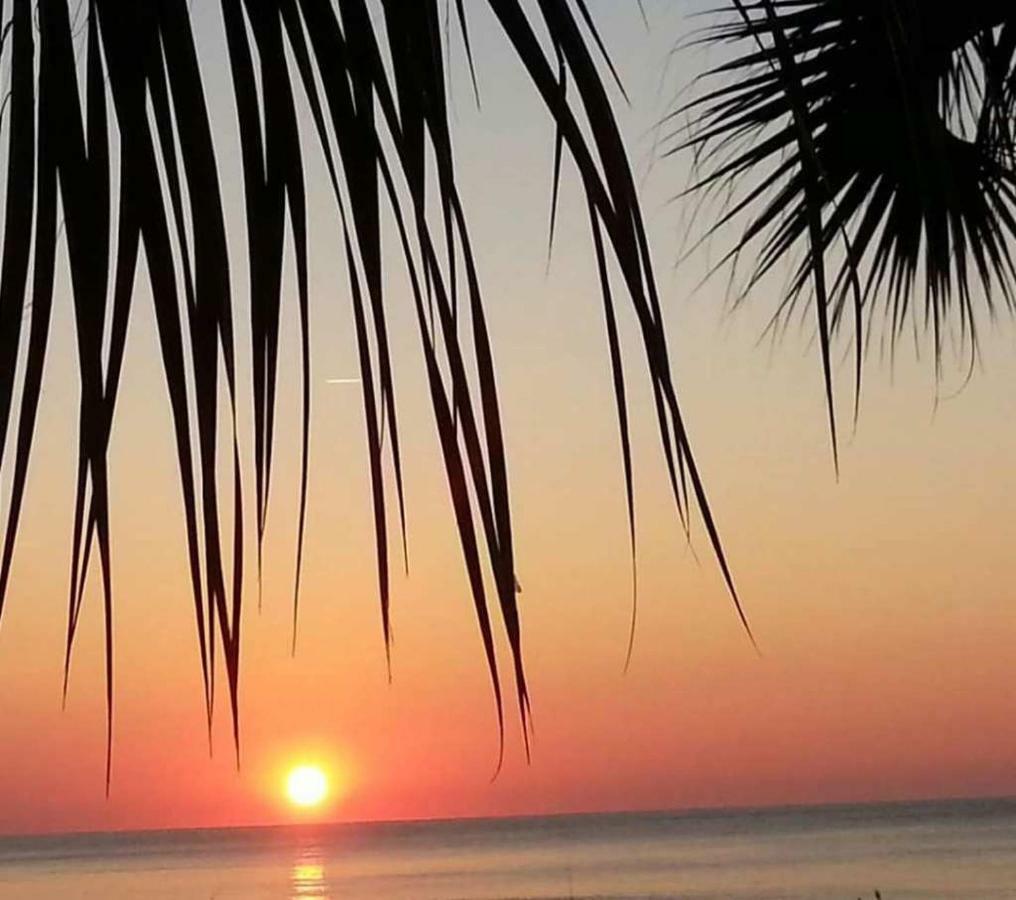 מירטל ביץ' The Palms Resort-Oceanfront מראה חיצוני תמונה